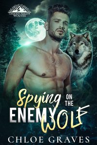 Book Cover: Spying on the Enemy  Wolf